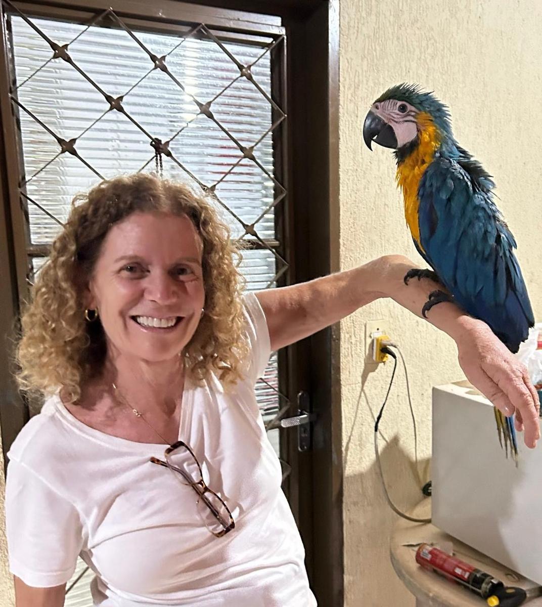 Dra. Ana Rita Salles com arara-canindé, médica veterinária CRMV-SP 4.528
