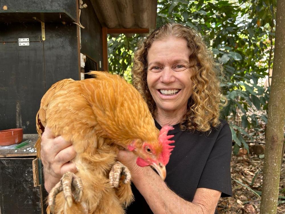 Atendimento veterinário a galinha caipira pela Dra. Ana Rita Salles